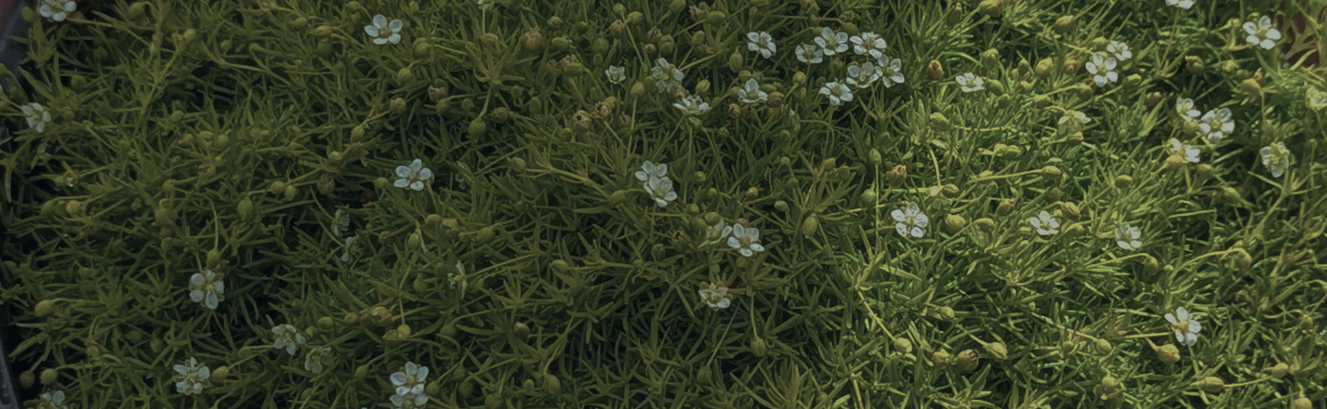 Связаться с нами